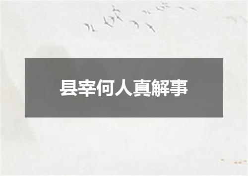 县宰何人真解事