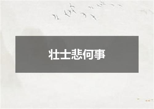 壮士悲何事
