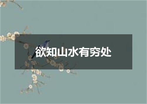 欲知山水有穷处