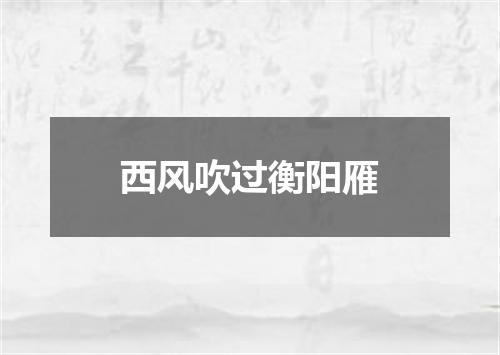 西风吹过衡阳雁