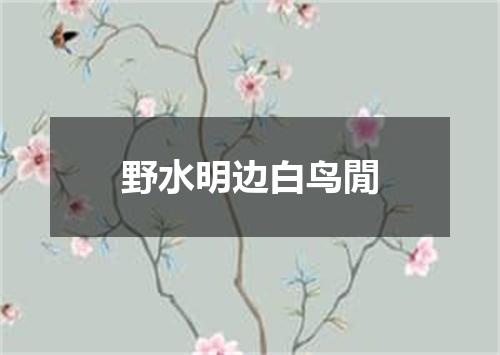 野水明边白鸟閒