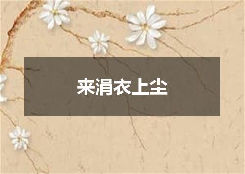 来涓衣上尘