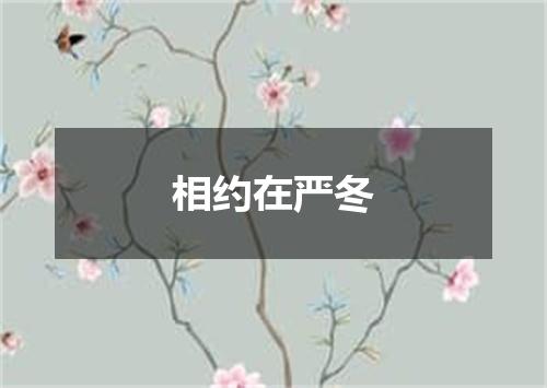 相约在严冬