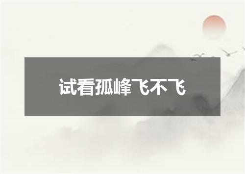 试看孤峰飞不飞