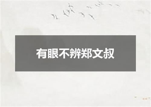 有眼不辨郑文叔