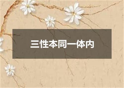 三性本同一体内