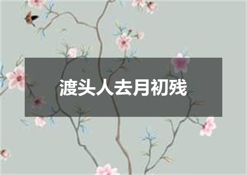 渡头人去月初残