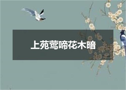 上苑莺啼花木暗