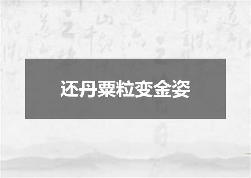 还丹粟粒变金姿