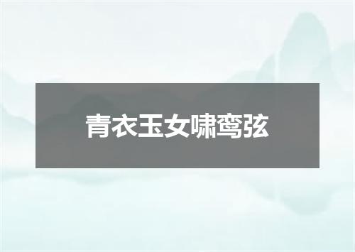 青衣玉女啸鸾弦