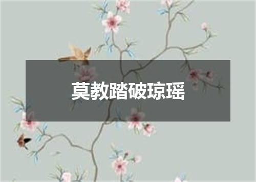 莫教踏破琼瑶