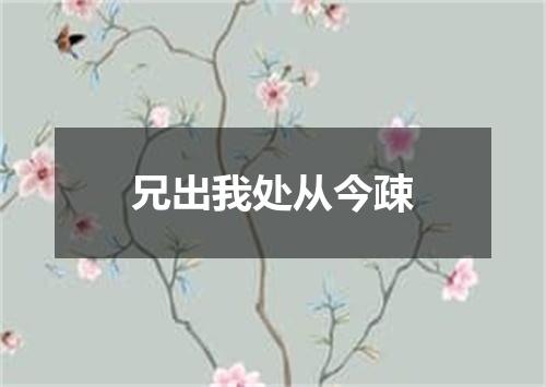 兄出我处从今疎