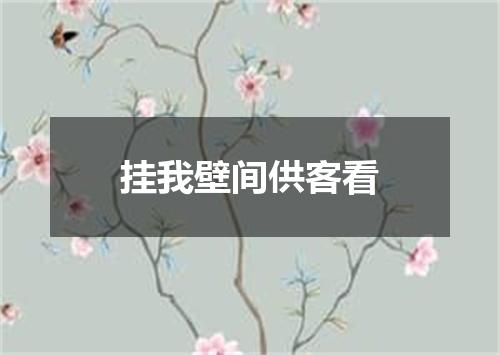 挂我壁间供客看