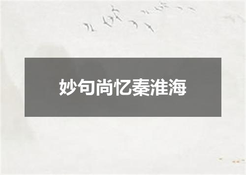 妙句尚忆秦淮海