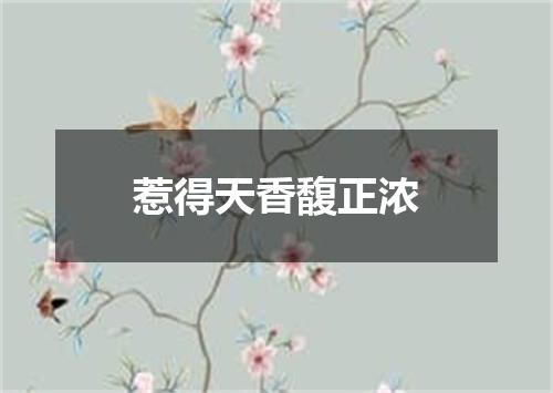 惹得天香馥正浓