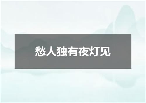 愁人独有夜灯见