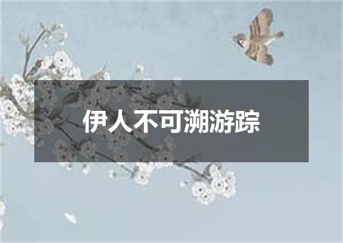 伊人不可溯游踪