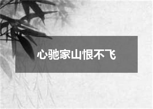 心驰家山恨不飞