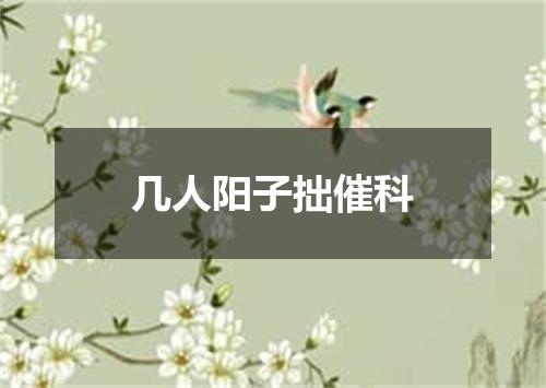 几人阳子拙催科