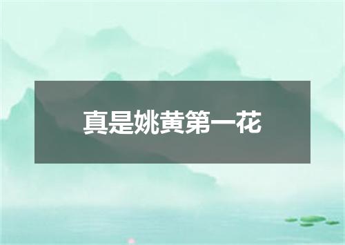 真是姚黄第一花