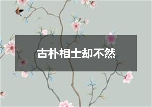 古朴相士却不然