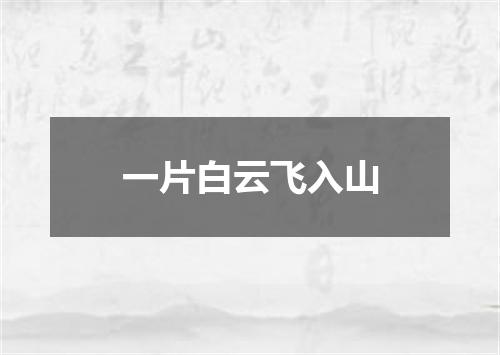 一片白云飞入山