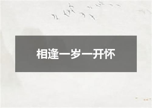 相逢一岁一开怀