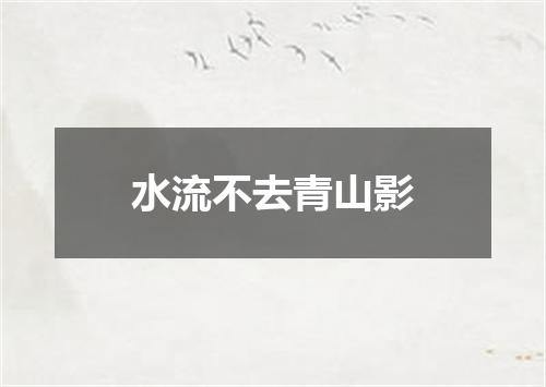 水流不去青山影