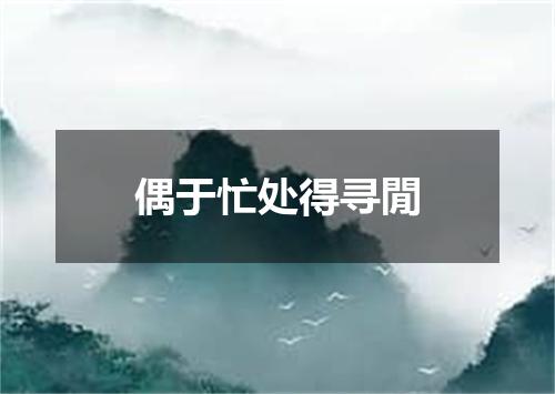 偶于忙处得寻閒