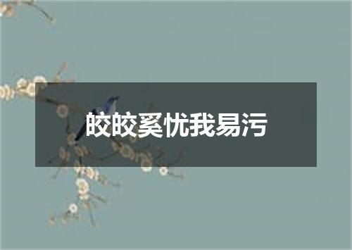 皎皎奚忧我易污
