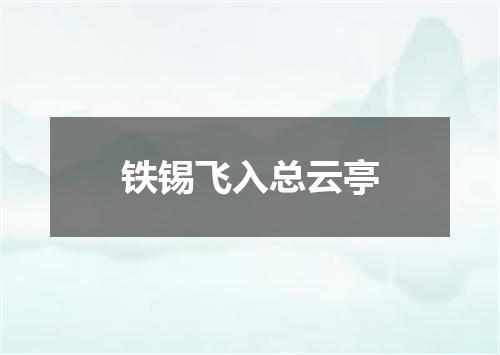 铁锡飞入总云亭