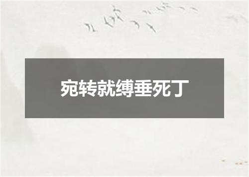 宛转就缚垂死丁