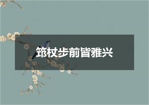 筇杖步前皆雅兴
