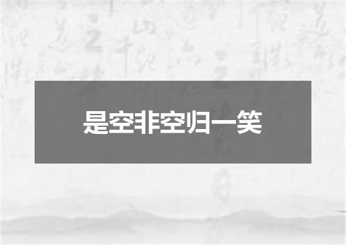是空非空归一笑