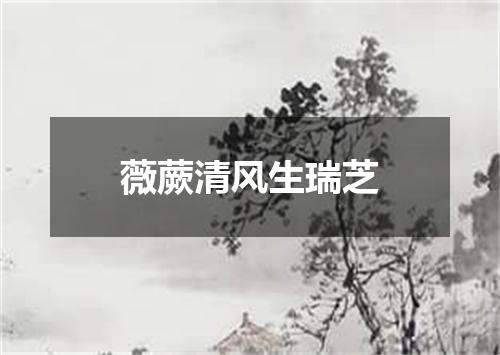薇蕨清风生瑞芝