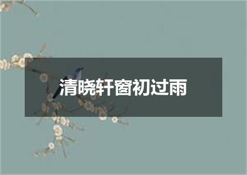 清晓轩窗初过雨