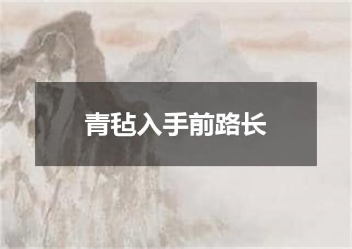 青毡入手前路长