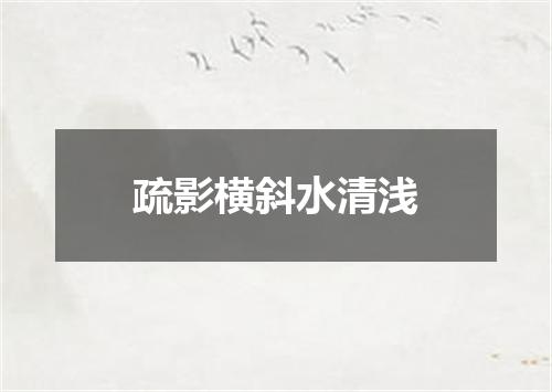 疏影横斜水清浅