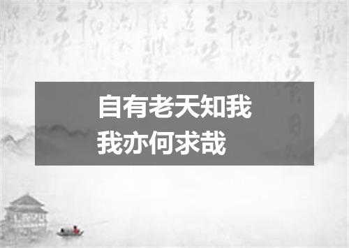 自有老天知我我亦何求哉