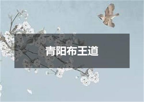 青阳布王道