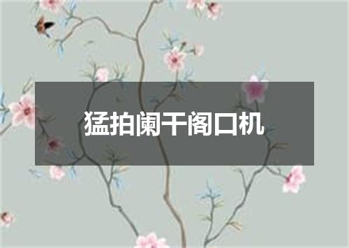 猛拍阑干阁口机
