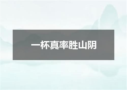 一杯真率胜山阴