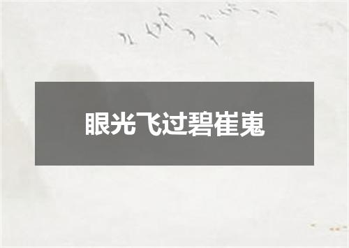 眼光飞过碧崔嵬