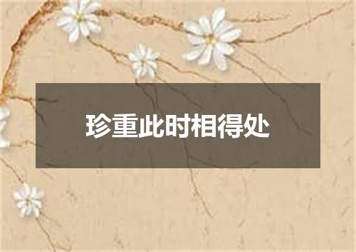 珍重此时相得处