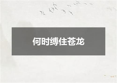 何时缚住苍龙