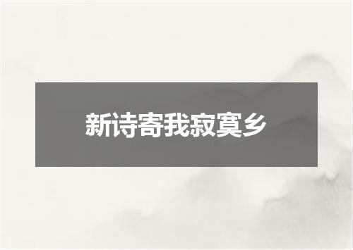 新诗寄我寂寞乡