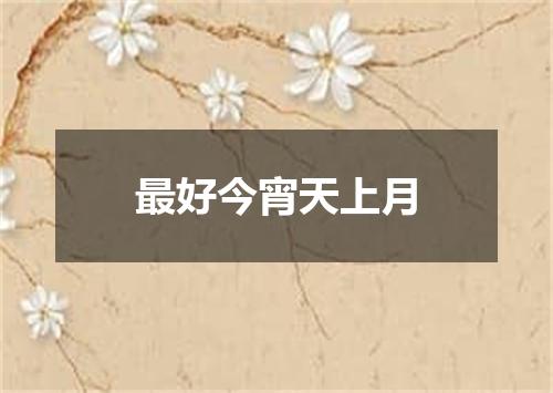 最好今宵天上月