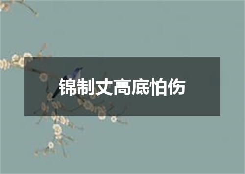 锦制丈高底怕伤