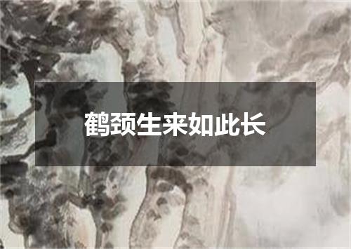鹤颈生来如此长
