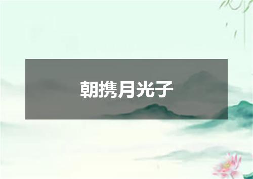 朝携月光子
